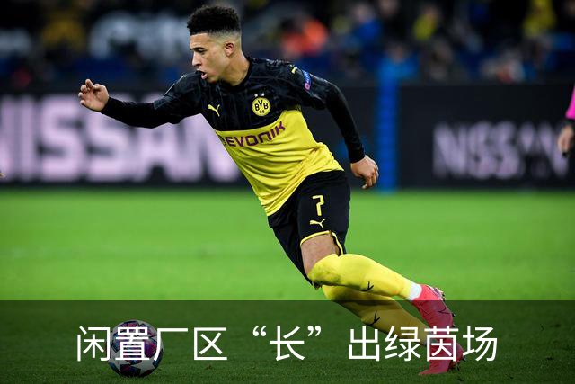闲置厂区“长”出绿茵场